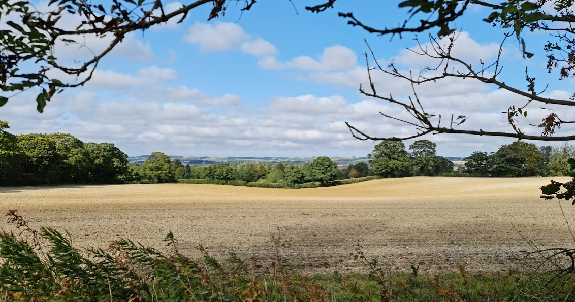 View from Raithby Hill